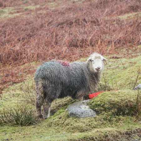 St Mary's Vakantiehuis *